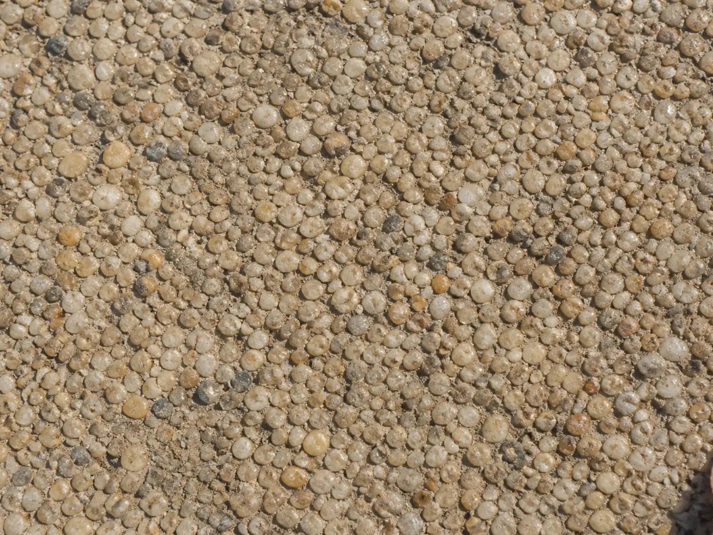 Stone Carpet: The Complete Guide