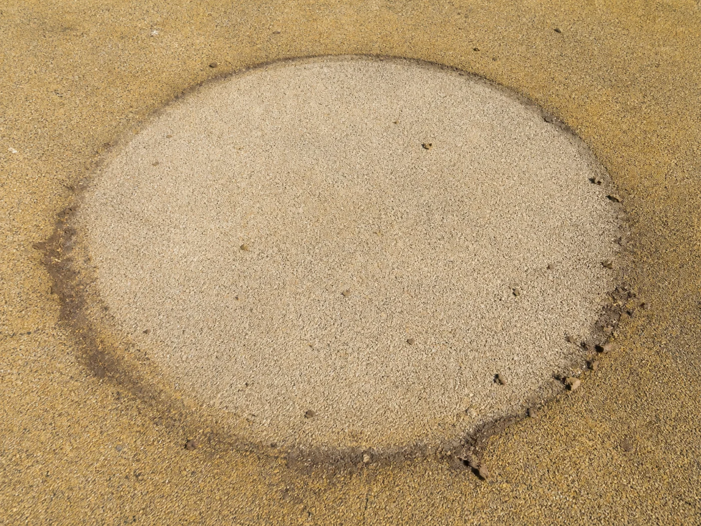 Where a pot stood the colour held. Around it the sun took it